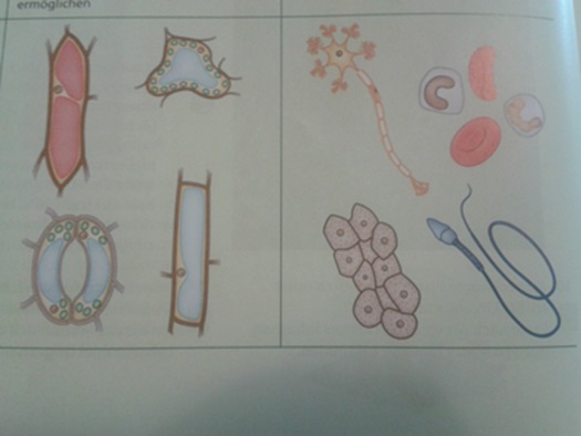 20130919_165143nee5.jpg