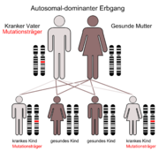 Autosomal-dominanter Erbgang.png