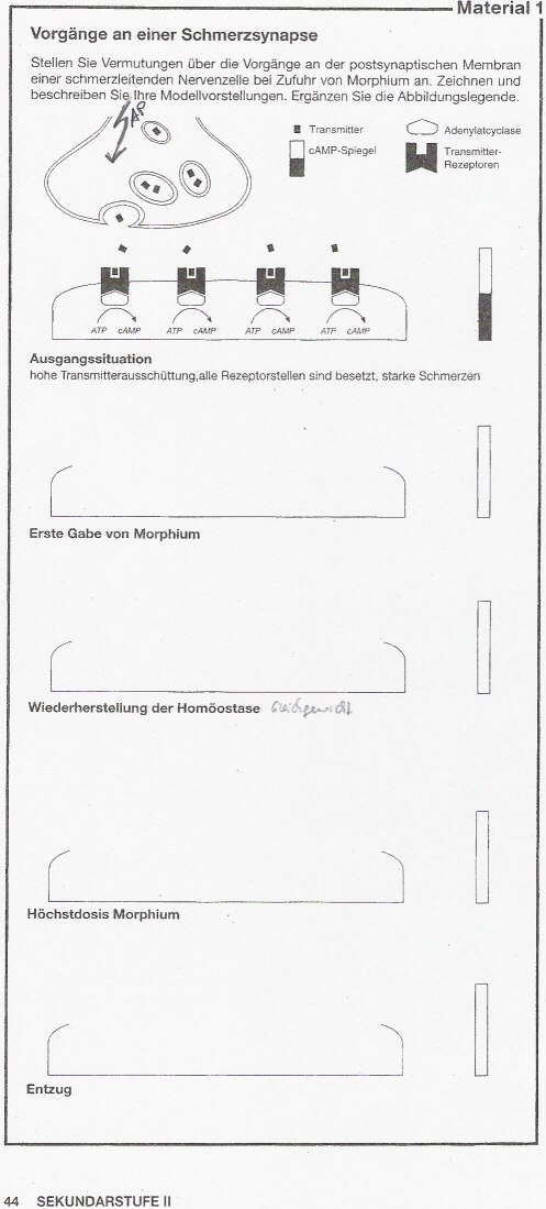 Biologie 15.11..jpg