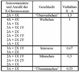 GeschlBestg-Drosophila.jpg
