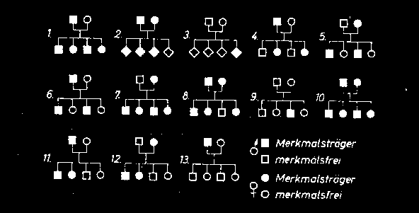 Image8.gif