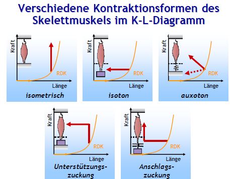 kontrakformen.JPG