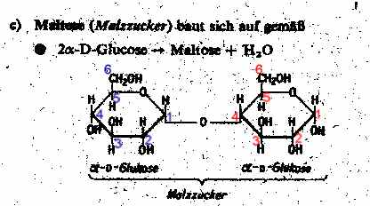 maltose.JPG