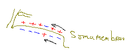 Neu Bitmap.jpg