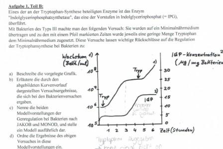 Operonmodell.jpg