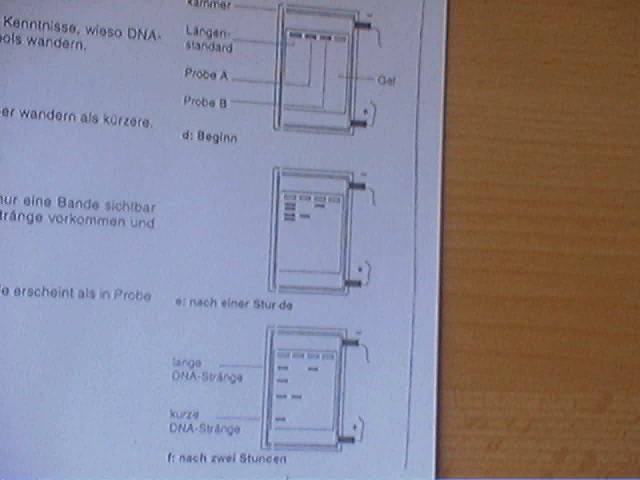Picture 37.jpg