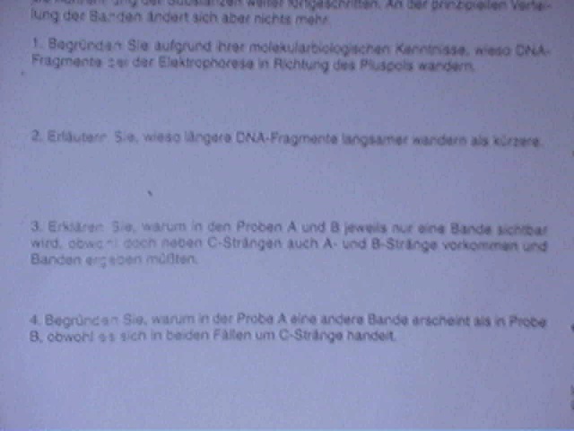 Picture 39.jpg