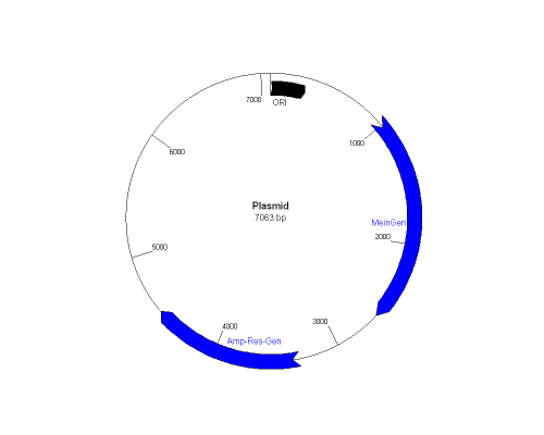 Plasmid1.png