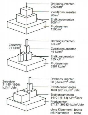 pyr.jpg