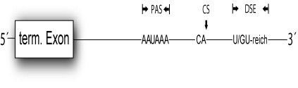 Unbenannt-1.jpg